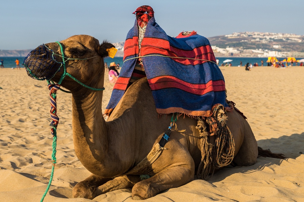 Bedouin Camp Sharm 